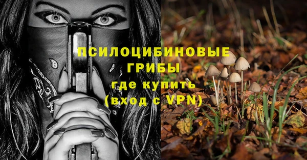 mdpv Бугульма
