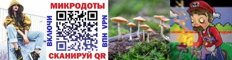 Галлюциногенные грибы MAGIC MUSHROOMS  купить наркоту  Гдов 